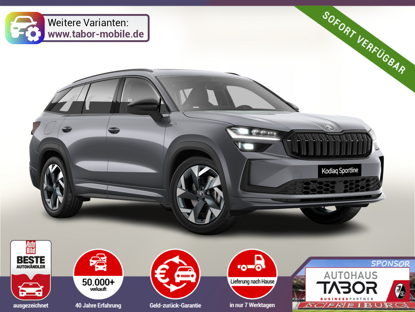 Skoda Kodiaq Sportl AHK Pano 7-S Matrix Nav Kessy ACC