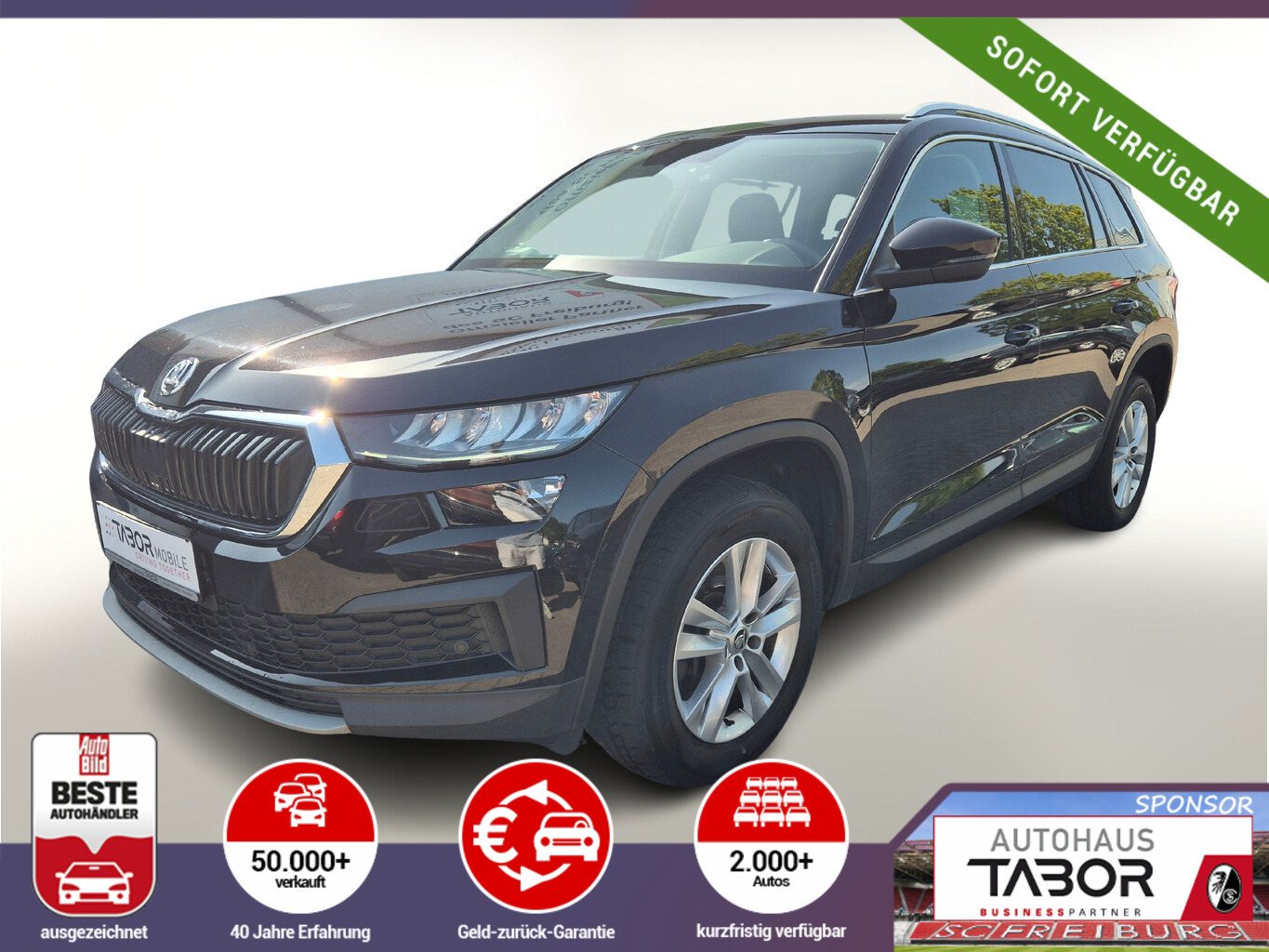 Skoda Kodiaq 2.0 TDI 150 DSG 7S 3.Sitz Kam LED