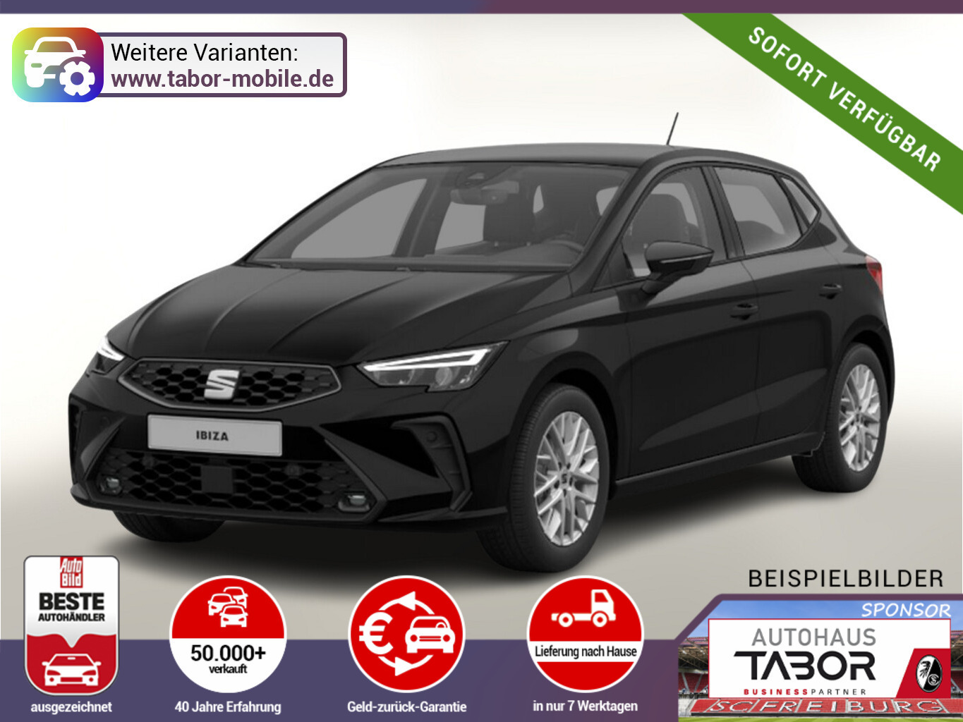 Seat Ibiza FR LED Kam PDC FullLink Privacy 2-Z-Clim
