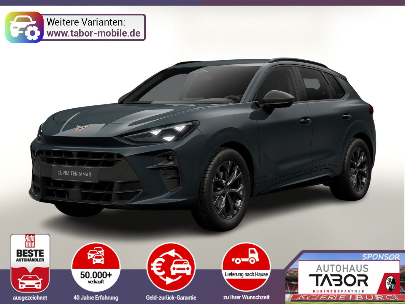Cupra Terramar DSG EdgeP SHZ eHk Kam ACC 18" PrivG Amb