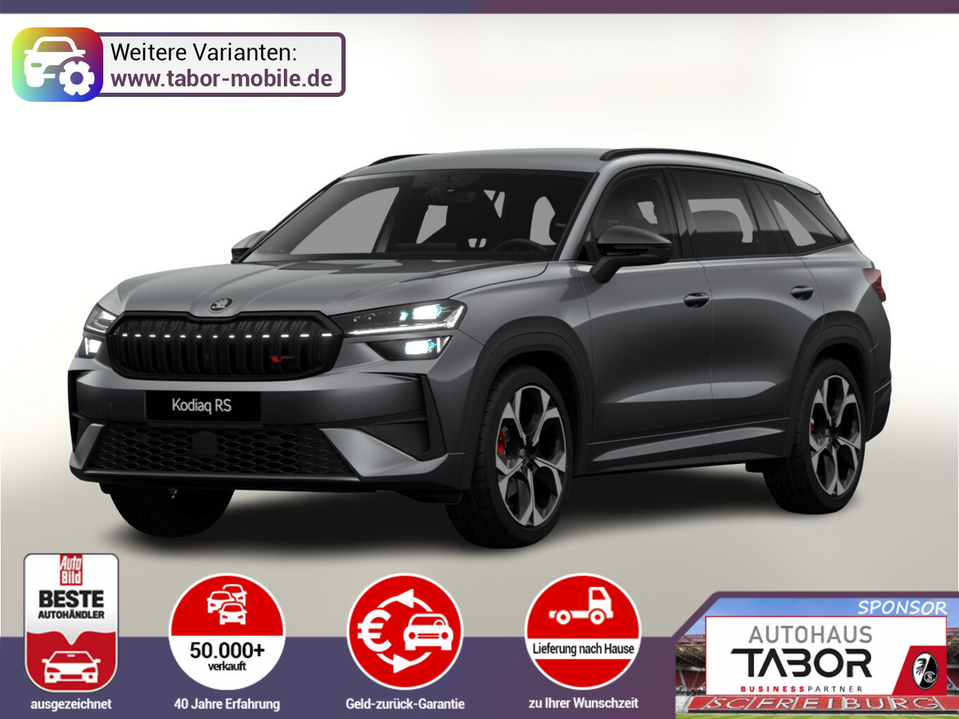 Skoda Kodiaq RS 7S AHK Matrix DCC SHZhi Canton ACC