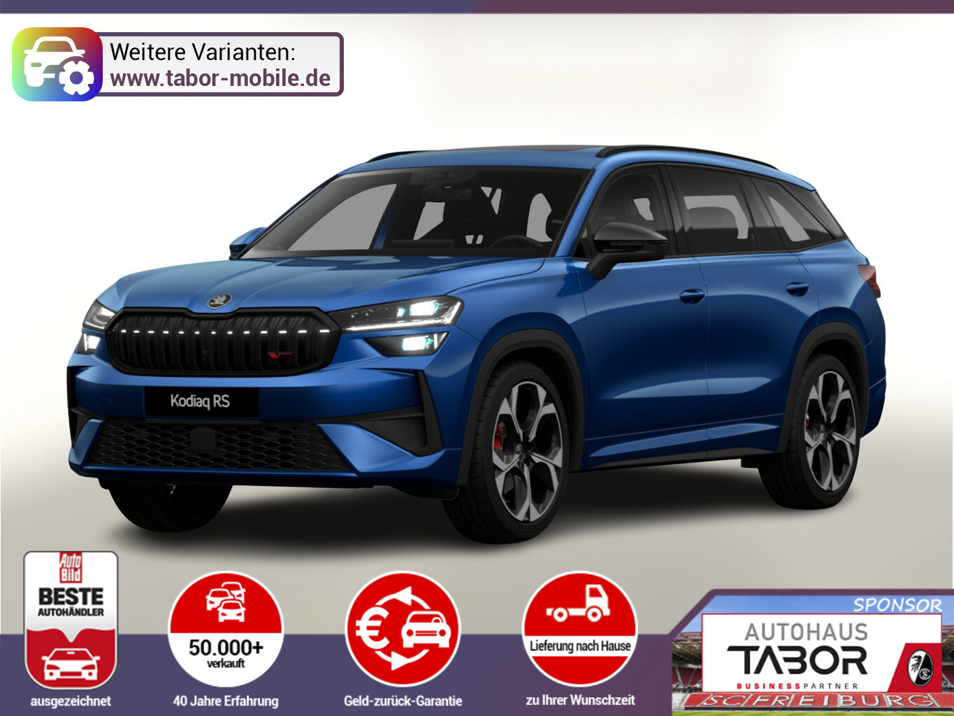 Skoda Kodiaq RS Pano AHK Matrix DCC SHZhi Canton ACC