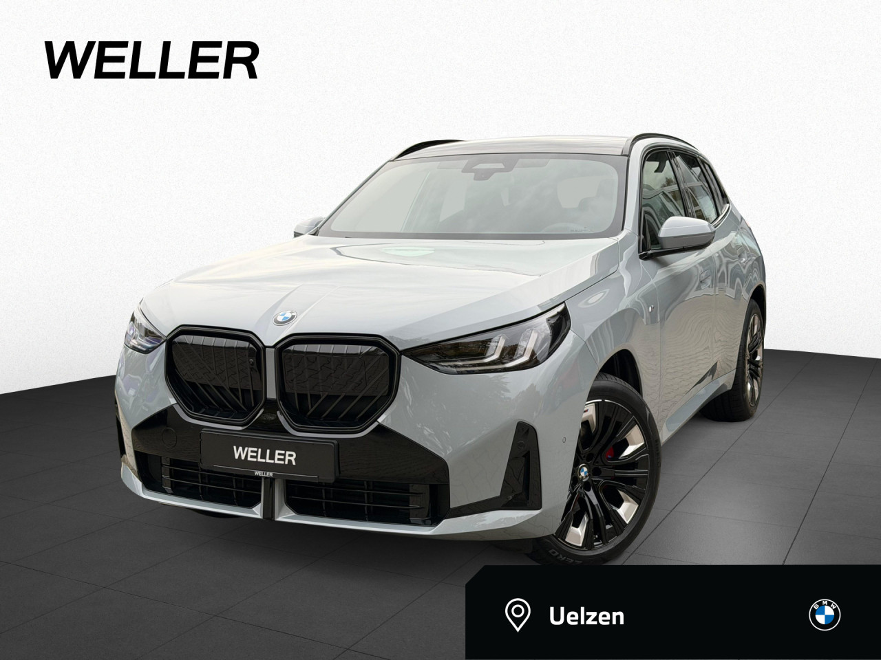 BMW X3 20d xDrive M-Sport Pro DA.Prof. AHK Standhz.20"