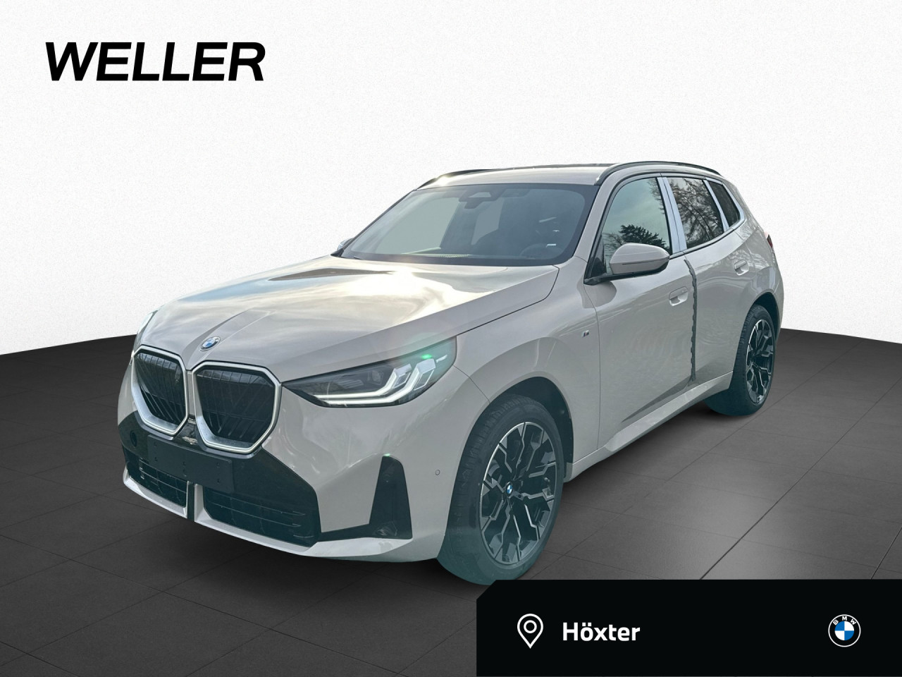 BMW X3 20d xDrive M-Sport AHK Innov. PA/DA+ Sportpaket