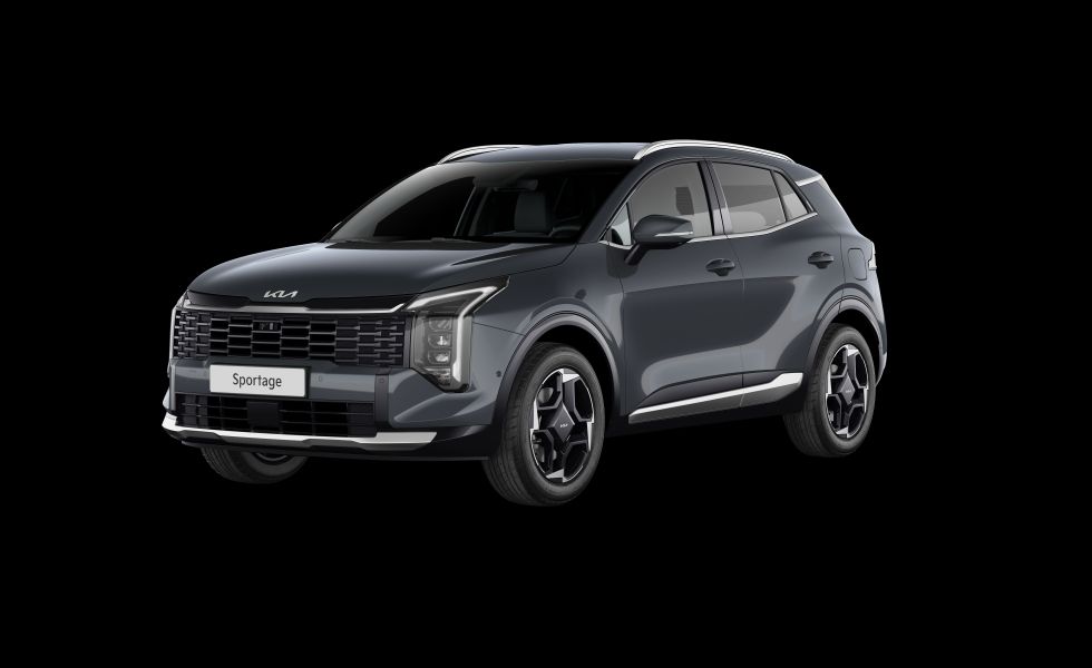 Kia Sportage Vision Rückfahrkamera, Navi, 17 Zoll LM