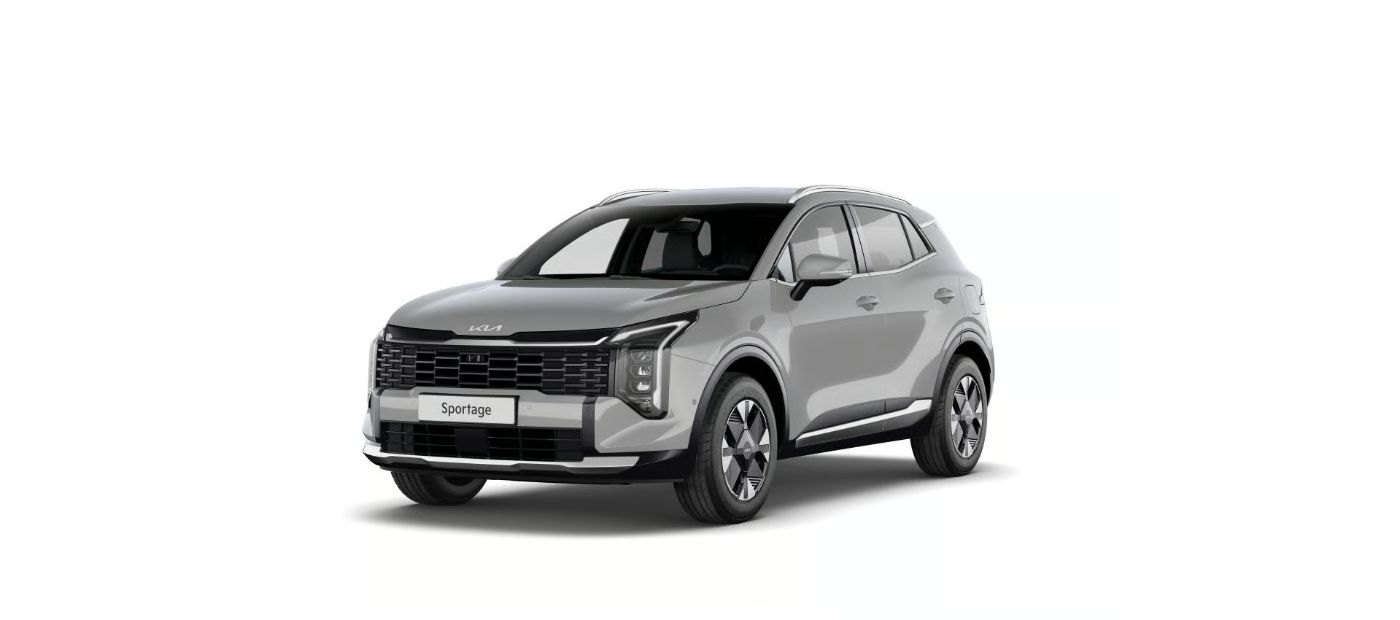 Kia Sportage Vision Rückfahrkamera, Navi, 17 Zoll LM