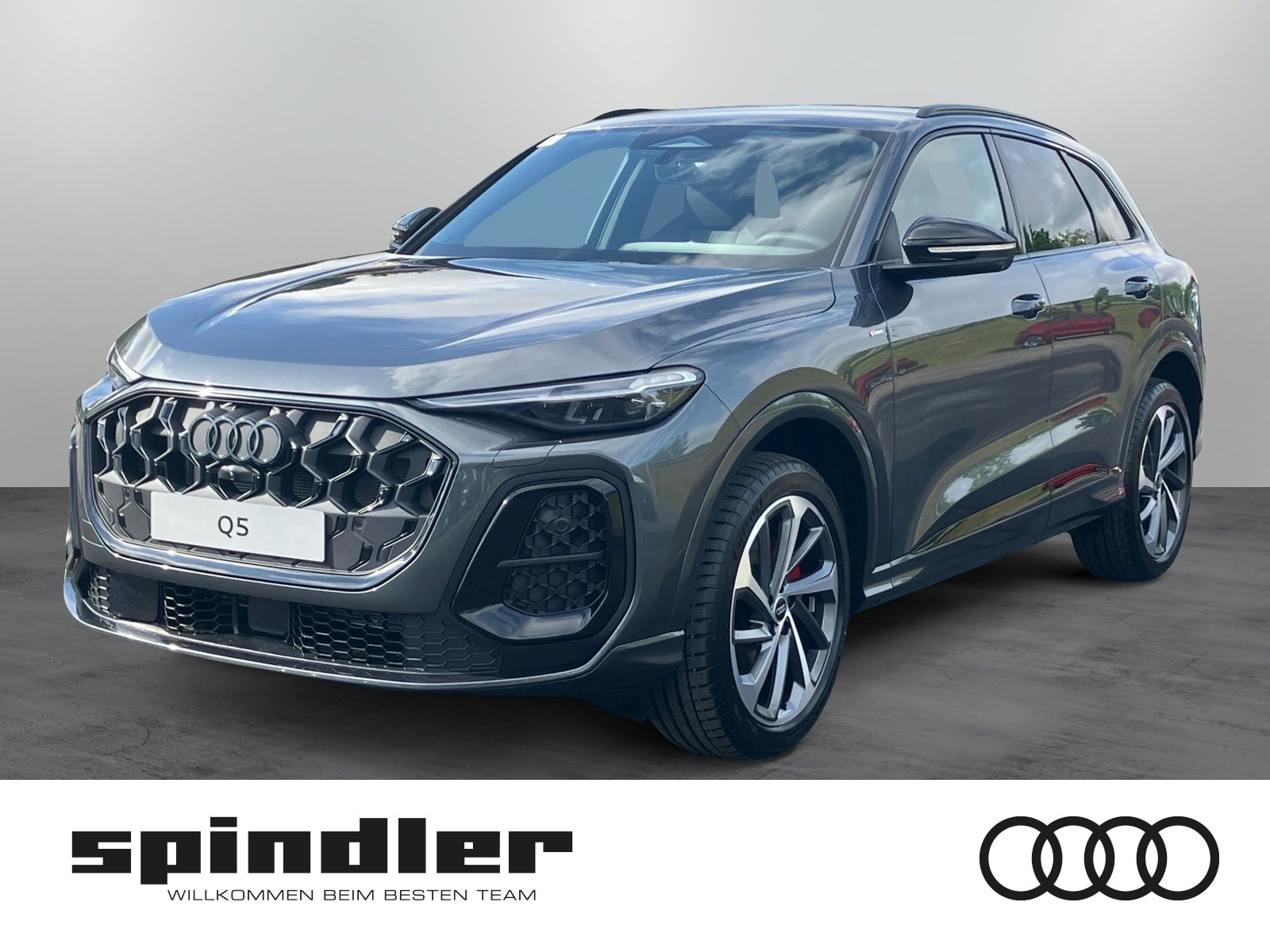 Audi Q5 SUV S-line TDI quattro | TechPro,AHK,360°