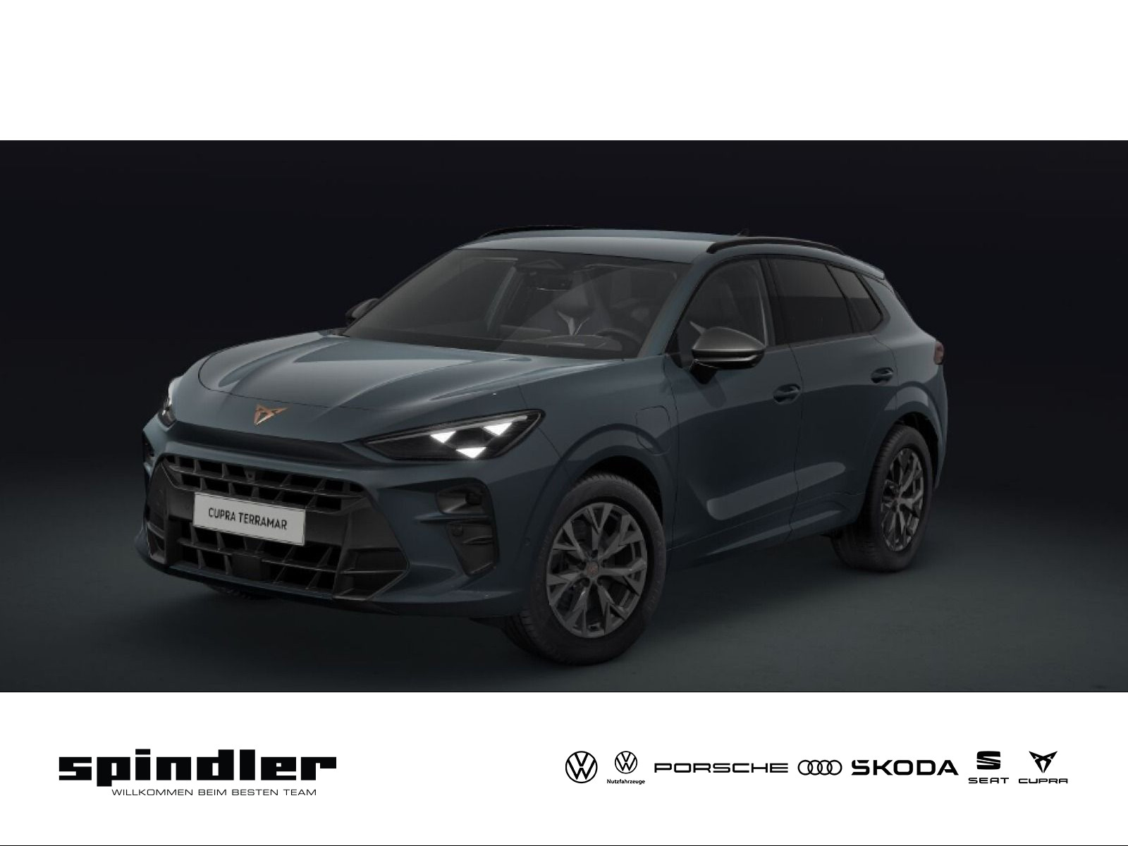 Cupra Terramar 1.5 e-HYBRID 150 kW (204
